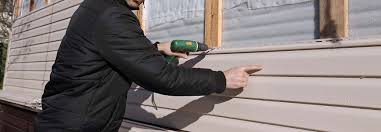 Best Custom Trim and Detailing for Siding  in , AK